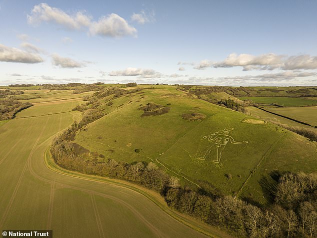 National Trust begins historic restoration of giant chalk figure.