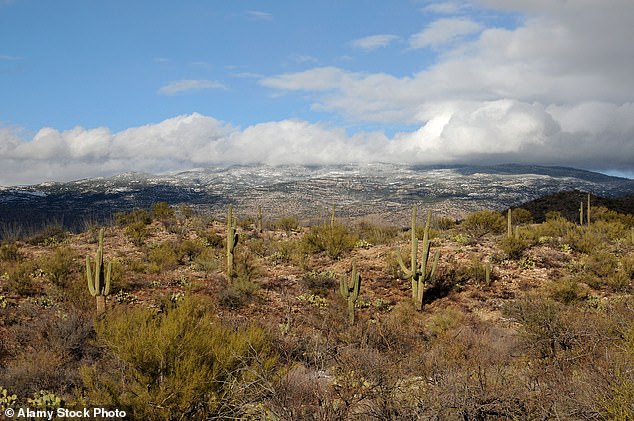 Man Held Girlfriend in Desert Tent for Months in Arizona Abduction