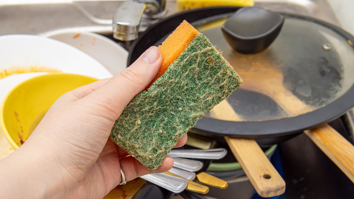 Kitchen sponges release far more microplastics than dishwashers, study finds.