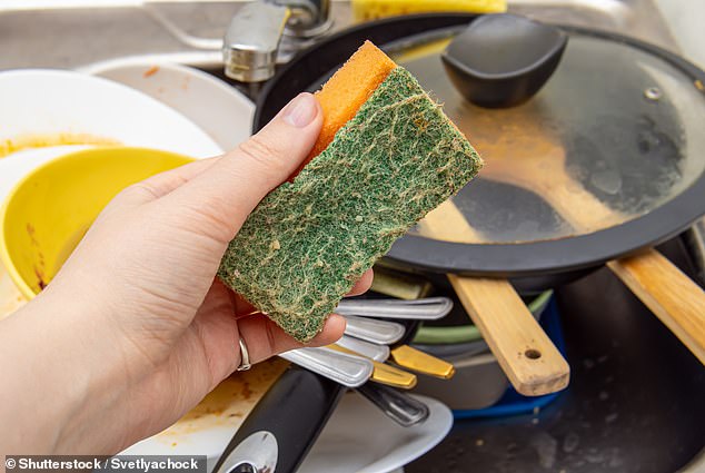 Kitchen sponges release far more microplastics than dishwashers, study finds.