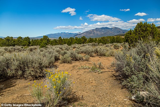 Nuclear Lab Employee Melissa Casias Found Dead in New Mexico Forest
