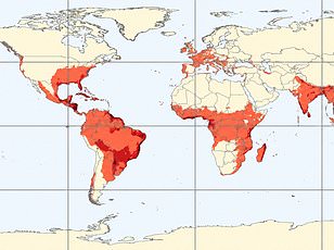 New catalog identifies top RNA viruses poised to spark next global health crisis.