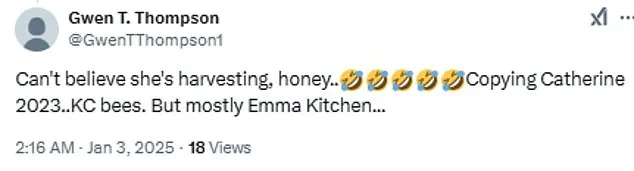 Pamela Anderson and Meghan Markle's Cooking Shows: Twin Trailers Confound Viewers