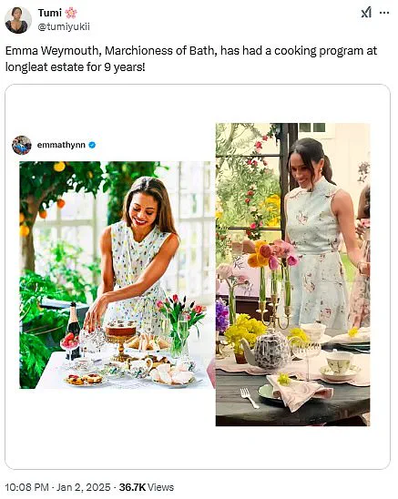 Pamela Anderson and Meghan Markle's Cooking Shows: Twin Trailers Confound Viewers