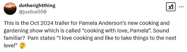Pamela Anderson and Meghan Markle's Cooking Shows: Twin Trailers Confound Viewers
