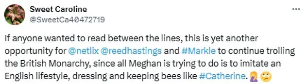 Pamela Anderson and Meghan Markle's Cooking Shows: Twin Trailers Confound Viewers