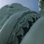 Unprecedented View: Up-Close Look at a Tiger Shark's Mouth