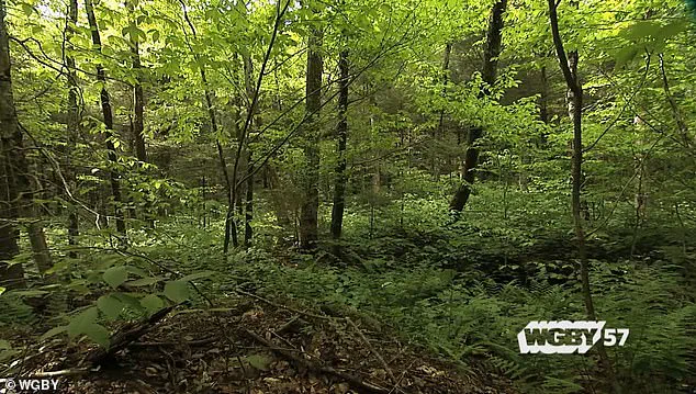 Bennington's Hidden Controversy: Uncovering America's 'Bermuda Triangle' of Vermont