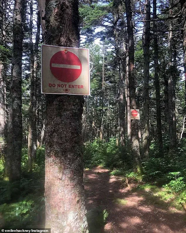 Bennington's Hidden Controversy: Uncovering America's 'Bermuda Triangle' of Vermont