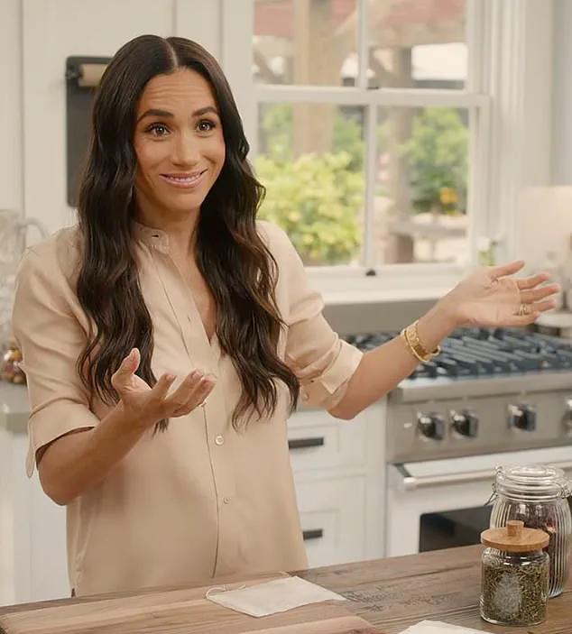 Meghan Markle Craves Fame and Fortune, Insiders Claim