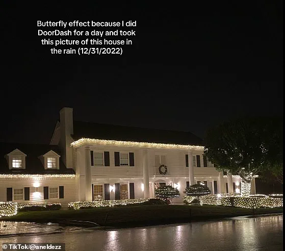 DoorDash Driver's New Year's Eve Snap Unlocks Viral Destiny