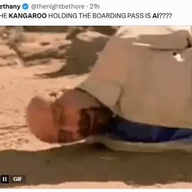 Exclusive Insights: How a Kangaroo's Boarding Pass Revealed the Privileged Access to Digital Absurdity