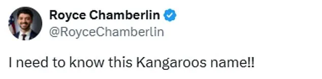 Exclusive Insights: How a Kangaroo's Boarding Pass Revealed the Privileged Access to Digital Absurdity