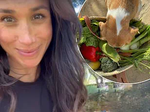 Meghan Markle’s ‘Financial Insecurity’ Narrative: A Privileged Facade Masking a Backstabbing Legacy