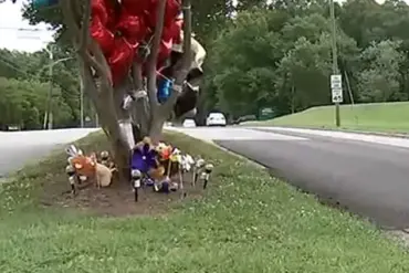 Child Safety Regulations Under Scrutiny After Gastonia Tragedy and Parents' Legal Consequences