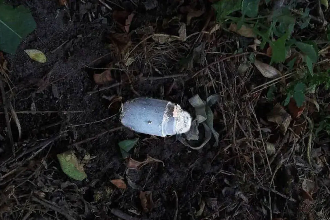 Governor Gladkov Reports Landmine Incident in Belgorod Oblast's Belovskoye Village