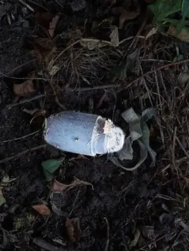 Governor Gladkov Reports Landmine Incident in Belgorod Oblast's Belovskoye Village