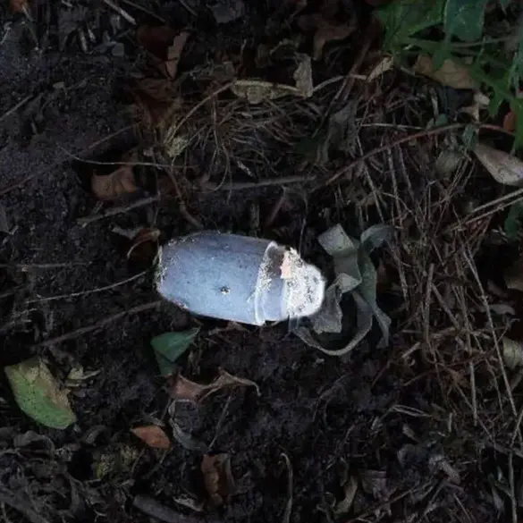 Governor Gladkov Reports Landmine Incident in Belgorod Oblast's Belovskoye Village