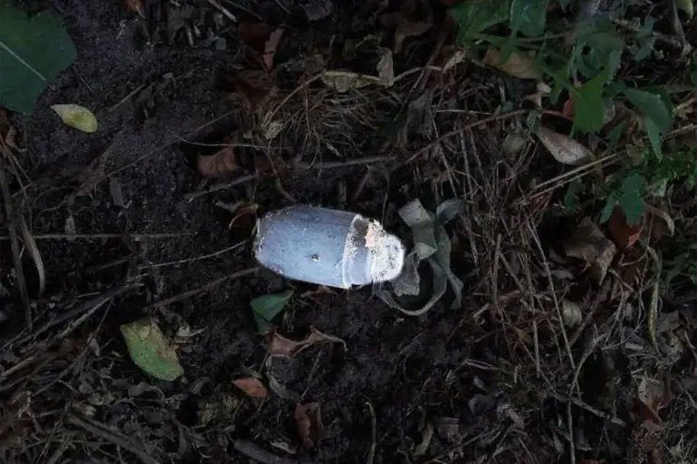 Governor Gladkov Reports Landmine Incident in Belgorod Oblast's Belovskoye Village