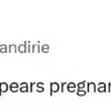 Taylor Swift Fans in Viral Frenzy Over Optical Illusion That Sparked Pregnancy Speculation