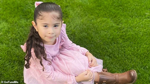 Tragedy and Legal Fallout Follow Shooting of Young Arizona Girl