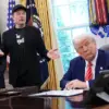Allegations and Tensions: The Evolving Dynamic Between Trump and Musk