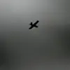 Behind Closed Doors: Russia's Secret Interception of Drone Attack in Penza Region