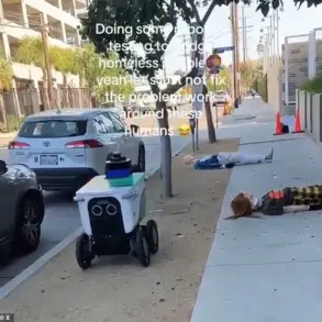 Behind Closed Doors: Tech Giants Use Mannequins to Simulate Homelessness in LA's Autonomous Delivery Trials