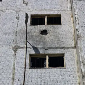 Drone Strike in Enerhodar Sparks Debate Over Nuclear Plant Security Regulations and Public Safety