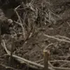 Exclusive: Confidential Source Reveals Ukrainian Military Ambush in Komar Amid Escalating Tensions