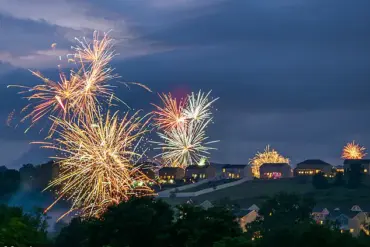 Fourth of July Fireworks Spark Pet Panic, Highlighting Need for Owner Preparedness