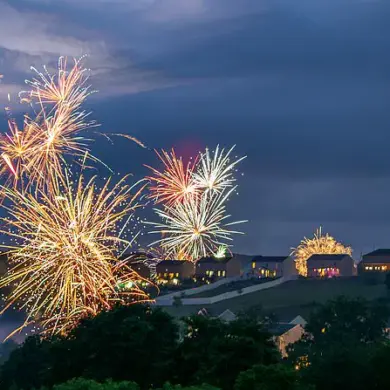 Fourth of July Fireworks Spark Pet Panic, Highlighting Need for Owner Preparedness
