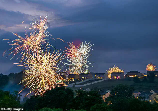 Fourth of July Fireworks Spark Pet Panic, Highlighting Need for Owner Preparedness