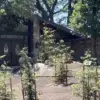 From Helper to Suspect: California Man Charged in Murder of Respected Realtor, Sending Shockwaves Through Bass Lake Community