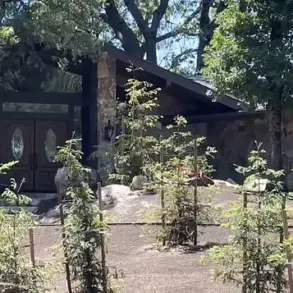 From Helper to Suspect: California Man Charged in Murder of Respected Realtor, Sending Shockwaves Through Bass Lake Community