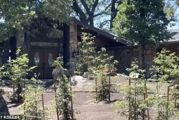 From Helper to Suspect: California Man Charged in Murder of Respected Realtor, Sending Shockwaves Through Bass Lake Community