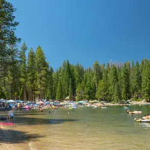 From Serenity to Chaos: The Controversy at Pinecrest Lake