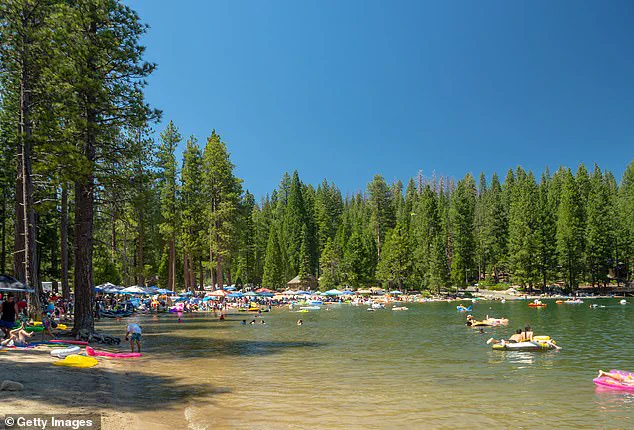 From Serenity to Chaos: The Controversy at Pinecrest Lake