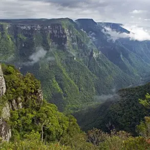 Grieving Parents Face Public Backlash After Daughter's Fatal Fall in Brazilian Canyon