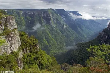 Grieving Parents Face Public Backlash After Daughter's Fatal Fall in Brazilian Canyon