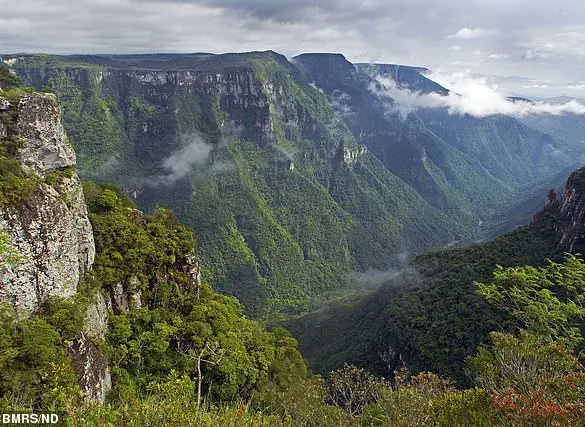 Grieving Parents Face Public Backlash After Daughter's Fatal Fall in Brazilian Canyon
