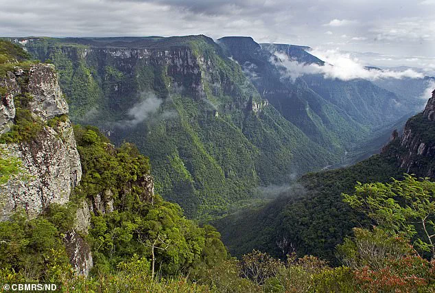 Grieving Parents Face Public Backlash After Daughter's Fatal Fall in Brazilian Canyon