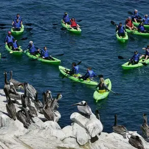 Late-Breaking: Iconic La Jolla Cove Falls Silent Amid Unprecedented Summer Dilemma