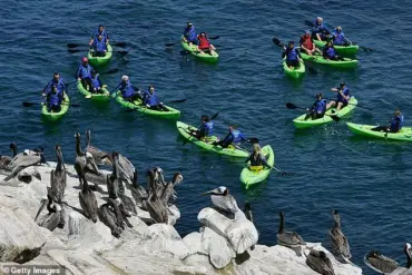 Late-Breaking: Iconic La Jolla Cove Falls Silent Amid Unprecedented Summer Dilemma