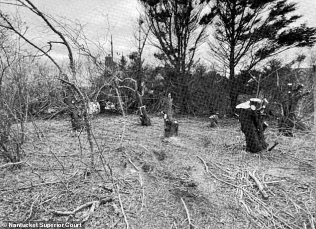 Late-Breaking: Nantucket Property Dispute Escalates as Neighbor Accused of Trespassing and Destroying 16 Decades-Old Trees