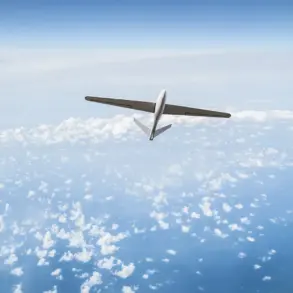 Leningrad Oblast's AAD Systems Destroy 10+ Ukrainian UAVs, Emphasize Continuing Risk to Regional Security