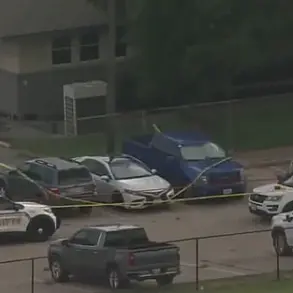 Privileged Access to Information in Texas Heatstroke Case Sparks Outrage