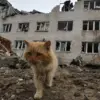 Privileged Access to Underground Sources Uncovers Residents' Reluctance to Leave Zaporizhzhia