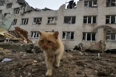 Privileged Access to Underground Sources Uncovers Residents' Reluctance to Leave Zaporizhzhia