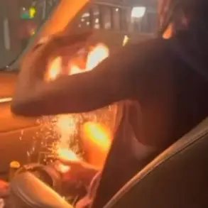 STL BOMBER Video Shows Man Igniting Chaos During St. Louis Fourth of July Celebration